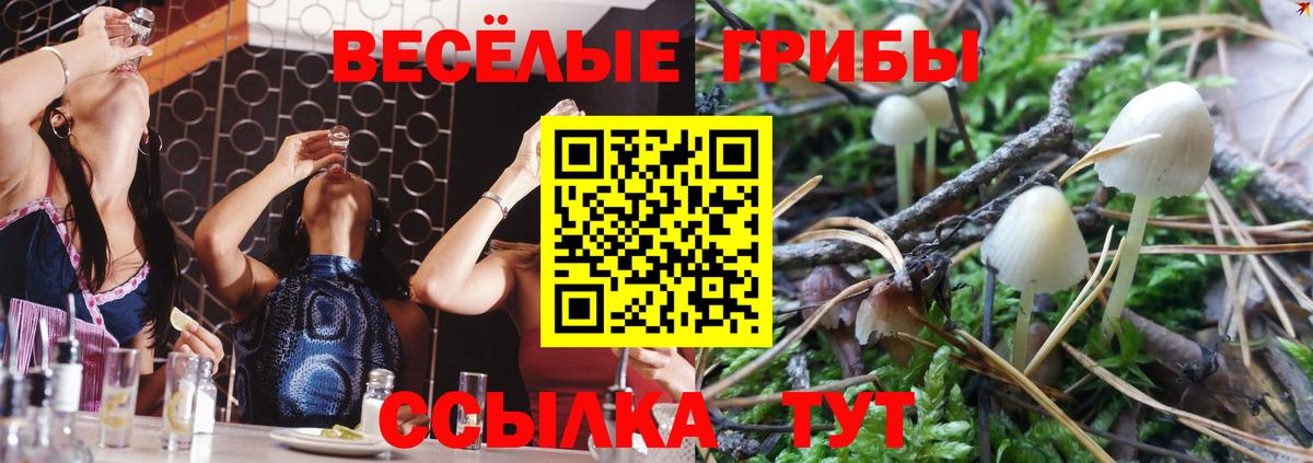Псилоцибиновые грибы MAGIC MUSHROOMS  Вход с VPN  Галлюциногенные грибы Cubensis  где купить наркоту  Тимашёвск 